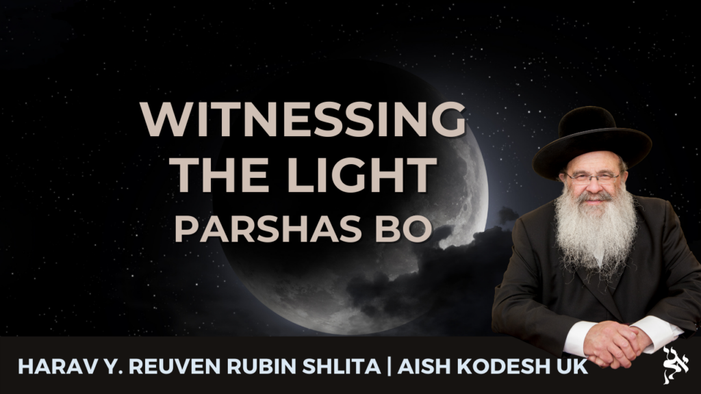 Witnessing the Light | Parshas Bo