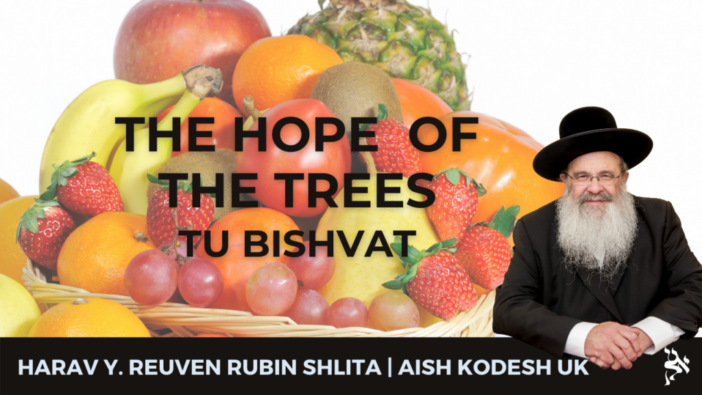The Hope of the Trees| Tu-Bishvat