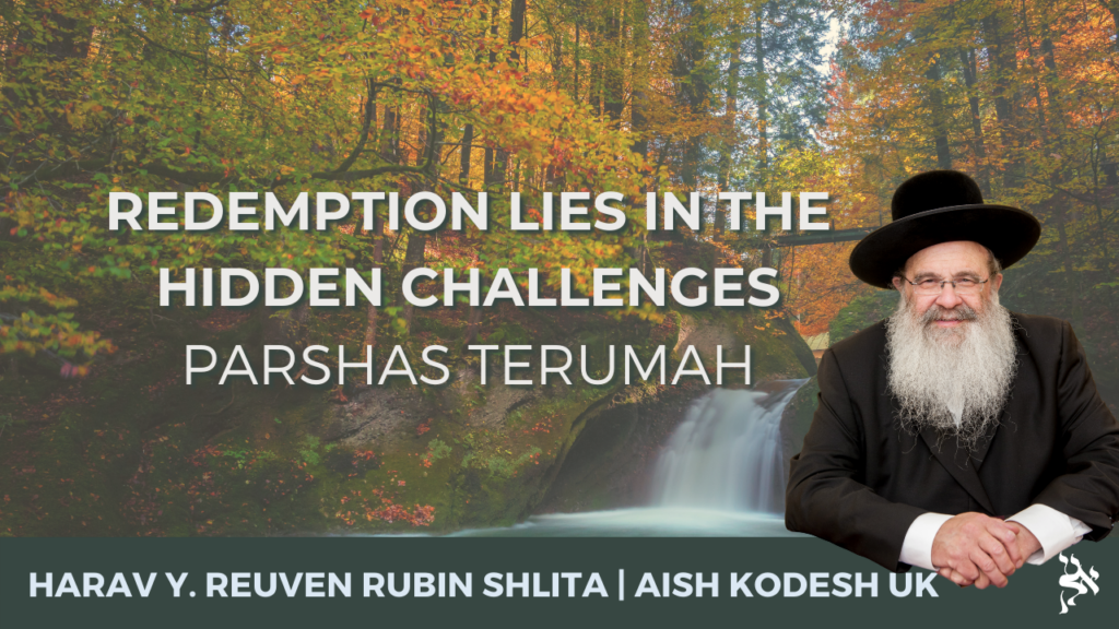 Redemption Lies in the Hidden Challenges – Terumah